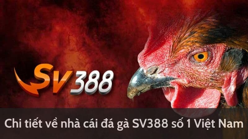 Khái quát đôi nét về sảnh cá cược Đá Gà SV388