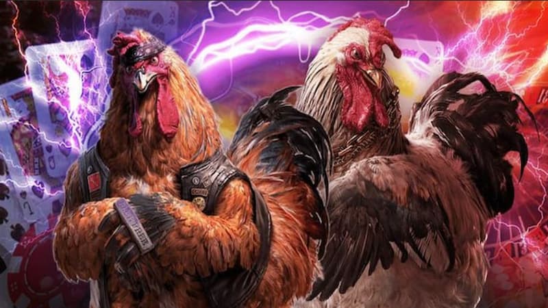 Có điểm đặc trưng nào ở Đá Gà SV388 để lựa chọn?