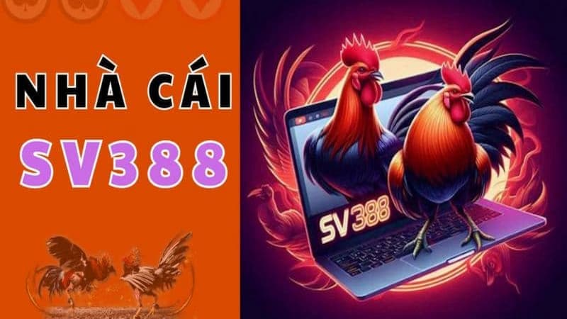 Giải đáp câu hỏi thắc mắc đăng ký