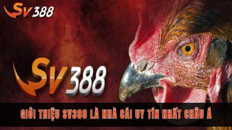 Giới thiệu SV388 tổng quan