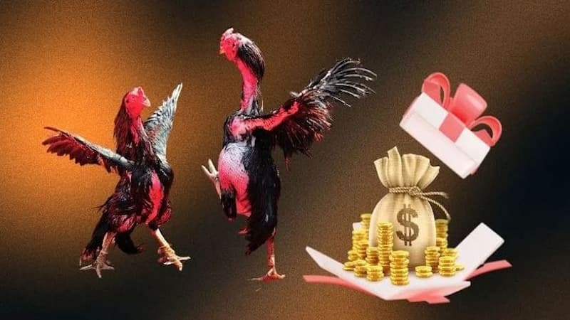 Các bước tham gia khuyến mãi SV388 dành cho tân thủ